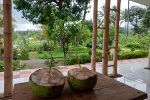 Rinjani Eco Villa Senaru外面的花园