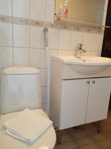 een badkamer met een wit toilet en een wastafel bij Einonhovi in Ylivieska