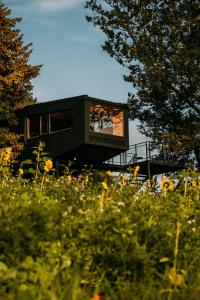 a black house with windows on top of a field at K1 Baumhaus in Odenthal
