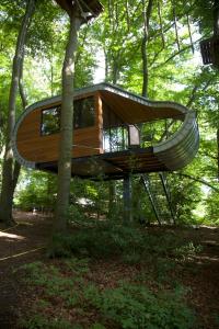 a tree house in the middle of a forest at K1 Baumhaus in Odenthal