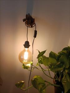 uma lâmpada está ligada a uma instalação em Maison 61 em Catânia