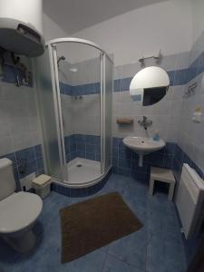 a bathroom with a shower and a toilet and a sink at Penzion Zámek Rozsochatec in Rozsochatec