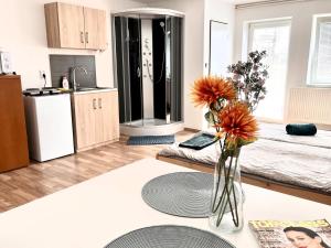 Cucina o angolo cottura di Ubytování na venkově Církvice
