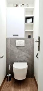 La salle de bains est pourvue de toilettes blanches et d'un miroir. dans l'établissement Ma Bulle d Aix superbe studio tout confort, à Aix-les-Bains