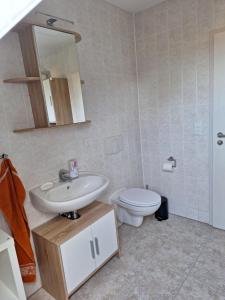 La salle de bains est pourvue d'un lavabo et de toilettes. dans l'établissement Bergblick-FeWo, à Hohenstein-Ernstthal