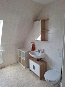 La salle de bains est pourvue de toilettes et d'un lavabo. dans l'établissement Bergblick-FeWo, à Hohenstein-Ernstthal