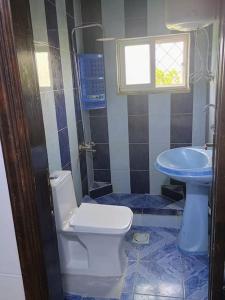 a bathroom with a toilet and a sink at Comfort and quiet apartment in Ajloun