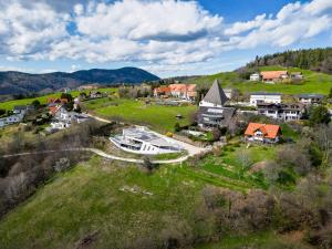 an aerial view of a small town on a hill at Apartment Skyline Graz Villa Stattegg in Stattegg