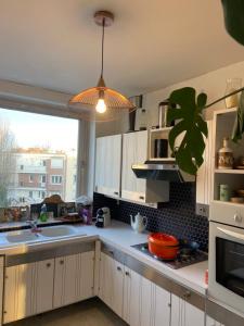 una cocina con armarios blancos y una maceta en Le tournesol, en Lille
