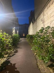 Vonkajšia záhrada v ubytovaní TOURS quartier halles 70m2