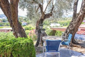 a table and chairs on a patio under a tree at Hilja's Oliven Garden Bungalows in Ulcinj