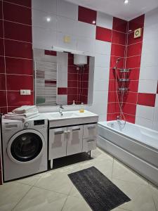 a bathroom with a washing machine and a sink and a tub at NoMi Central Apartment in Târgu-Mureş