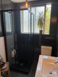 een badkamer met een douche, een wastafel en een toilet bij Casa das Pomegranates in Ílhavo