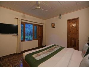a bedroom with a bed and a tv and a window at Acharya Cottage, Manali in Manāli