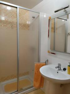 a bathroom with a sink and a shower at Precioso piso proximo a Riazor in A Coruña