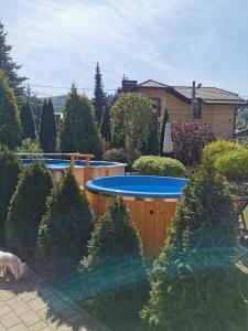 a backyard with a pool and trees and a house at Wieczorek Pokoje Gościnne Całoroczne jacuzzi ogrodowe in Szczyrk