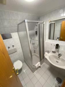 a bathroom with a shower and a toilet and a sink at Hotel Faller in Breitnau
