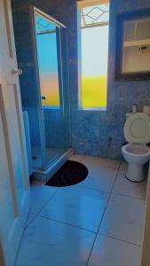 a blue bathroom with a toilet and a shower at DreamWest Living The Guesthouse in Krugersdorp