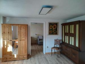 uma sala de estar com um armário e uma cadeira em Haus Barbara Modern retreat em Bad Brückenau