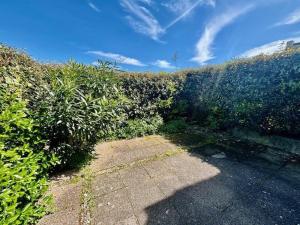 a garden with a hedge and a walkway at Quiberon - Maison 3 pièces - 6 pers - Calme avec parking - FR-1-478-61 in Quiberon
