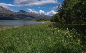 Fotografie z fotogalerie ubytování Sjøhuset v destinaci Bodø