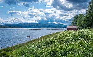 Fotografie z fotogalerie ubytování Sjøhuset v destinaci Bodø
