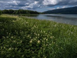 Fotografie z fotogalerie ubytování Sjøhuset v destinaci Bodø