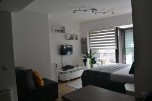 a bedroom with a bed and a couch and a tv at Urban Apartment in Niš