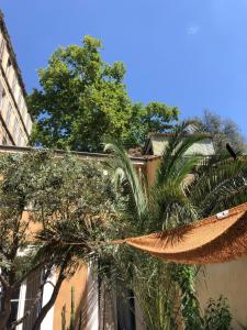 a hammock and trees in front of a building at Maison Olea in Marseille