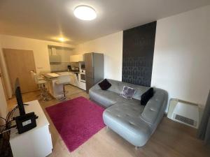 a living room with a couch and a pink rug at DunaVera Apartman in Budapest