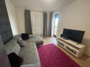 uma sala de estar com um sofá e uma televisão de ecrã plano em DunaVera Apartman em Budapeste