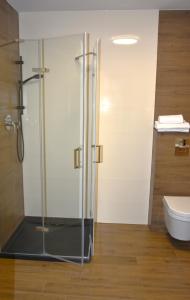 ミウクフにあるB&B Dom z Baliのバスルーム(ガラス張りのシャワー、トイレ付)