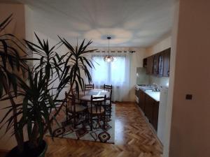a kitchen and dining room with a table and a plant at REA Home Visoko in Visoko