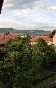 a group of trees with buildings in the background at REA Home Visoko in Visoko