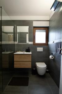 ein Bad mit einem WC und einem Waschbecken in der Unterkunft Apartmani Rajković in Matulji