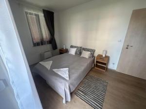 a bedroom with a large bed and a wooden floor at DunaVera Apartman in Budapest