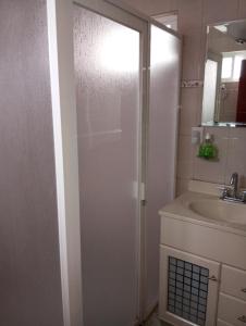 a bathroom with a shower and a sink at Los Malvones in Tequisquiapan