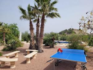 eine Tischtennisplatte mit zwei Bänken und Palmen in der Unterkunft La Luna in Jijona