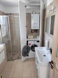 a bathroom with a washing machine and a sink at Vip VASARA in Palanga