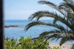 a palm tree on a beach near the ocean at MYLOS (6) in Chania