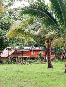 een palmboom voor een huis bij Camp Jenil Serenity Homestay in Malabuñgan