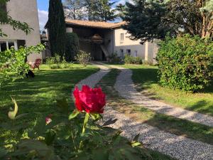 a red rose in front of a house at Les Loges de Bacchus in Chonas-lʼAmballan