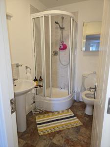 een badkamer met een douche, een wastafel en een toilet bij Gracian OMB Dublin Apartment in Dublin