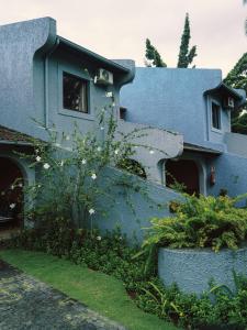 una casa azul con un gato asomando la cabeza por la ventana en Omali São Tomé en São Tomé