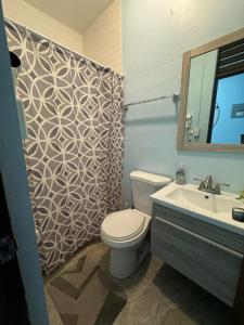 a bathroom with a toilet and a sink and a shower at Studio with private entrance and bath sleeps up to 6, Unit 1 in San Juan