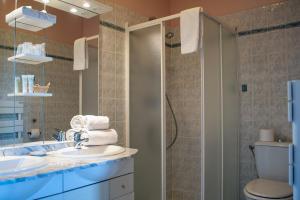 a bathroom with a toilet and a sink and a shower at L'Hotel du Nord - Quarré-les-Tombes in Quarré-les-Tombes
