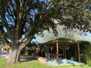 a gazebo with a table under a tree at Podere Il Ritorno in Portoferraio
