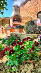 A garden outside L'oca Nera