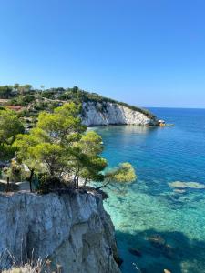 a cliff with trees on it next to the ocean at Podere Il Ritorno in Portoferraio