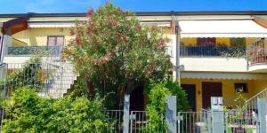 uma casa amarela com uma árvore em frente em N098 - Numana, nuovo trilocale con giardino in residence con piscina em Sirolo